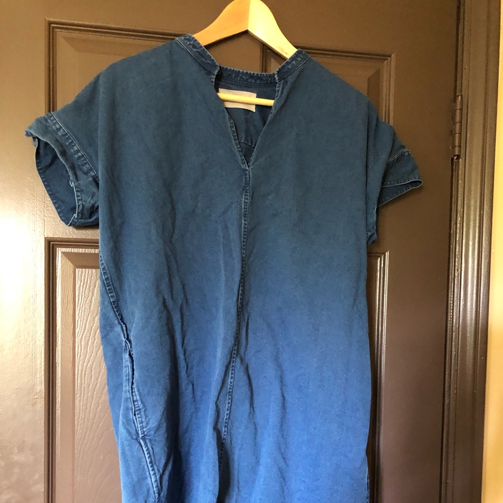 Everlane denim dress